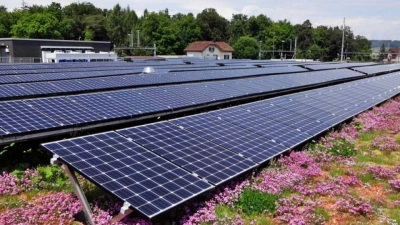 Energie von der Sonne: Photovoltaik spielt bei der nachhaltigen Stromversorgung eine weiter wachsende Rolle. (Foto: DJD/Paul Bauder)