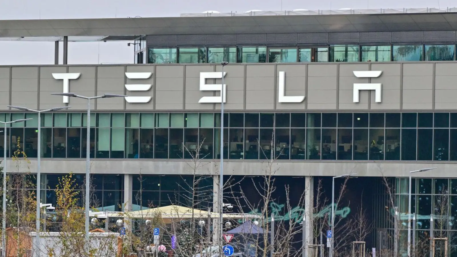 Die Investitionen von Tesla werden der ostdeutschen Wirtschaft nur einen begrenzten Schwung geben, glaubt das Ifo-Institut. (Foto: Patrick Pleul/dpa)