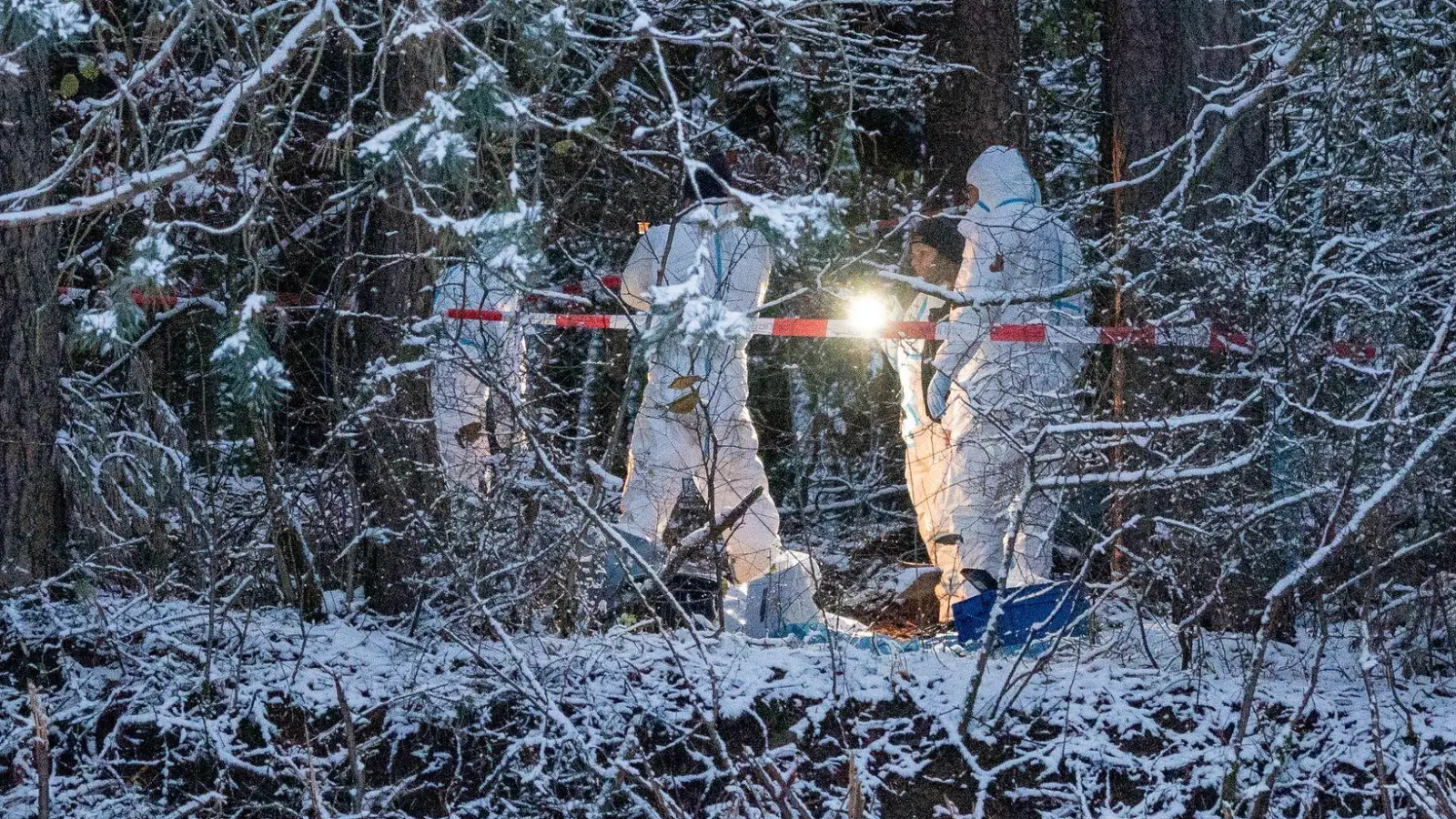 In einem Waldstück bei Alfeld - wenige Kilometer vom Wohnort der Vermissten aus Pommelsbrunn entfernt - fand die Polizei menschliche Überreste einer weiblichen Leiche. (Foto: Lars Haubner/NEWS5/dpa)