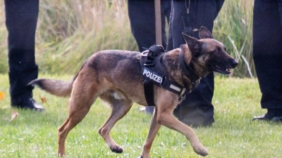 Die Polizei sucht weiterhin nach der vermissten Rebecca. (Foto: Christophe Gateau/dpa)