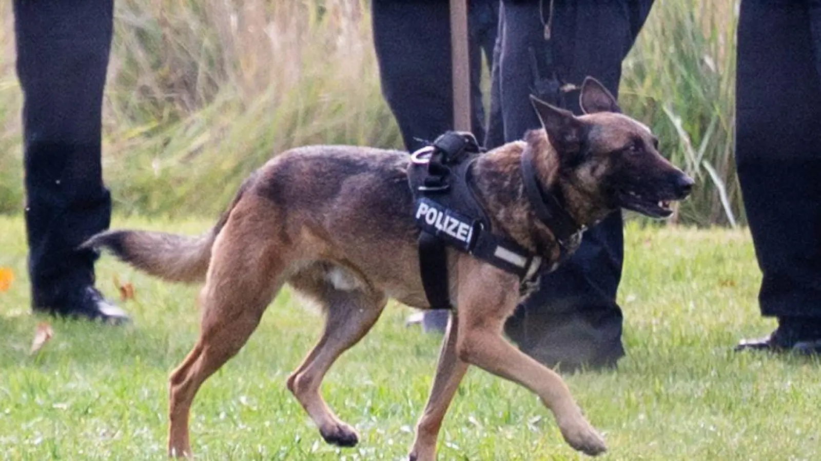 Die Polizei sucht weiterhin nach der vermissten Rebecca. (Foto: Christophe Gateau/dpa)