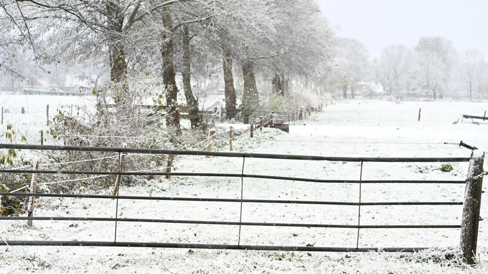 Weiteren Schnee sagt der Deutsche Wetterdienst frühestens am Sonntag vorher. (Foto: Lars Penning/dpa)