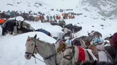 Dorfbewohner stiegen mit Pferden und Ochsen auf den Mount Everest, um zu den Wanderern zu gelangen. (Archivbild) (Foto: Lingsuiye/Xinhua/dpa)