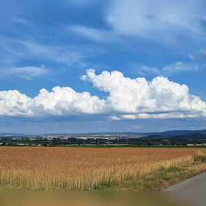 Weites Land - gesehen bei Gallmersgarten (Foto: Günther Ott)