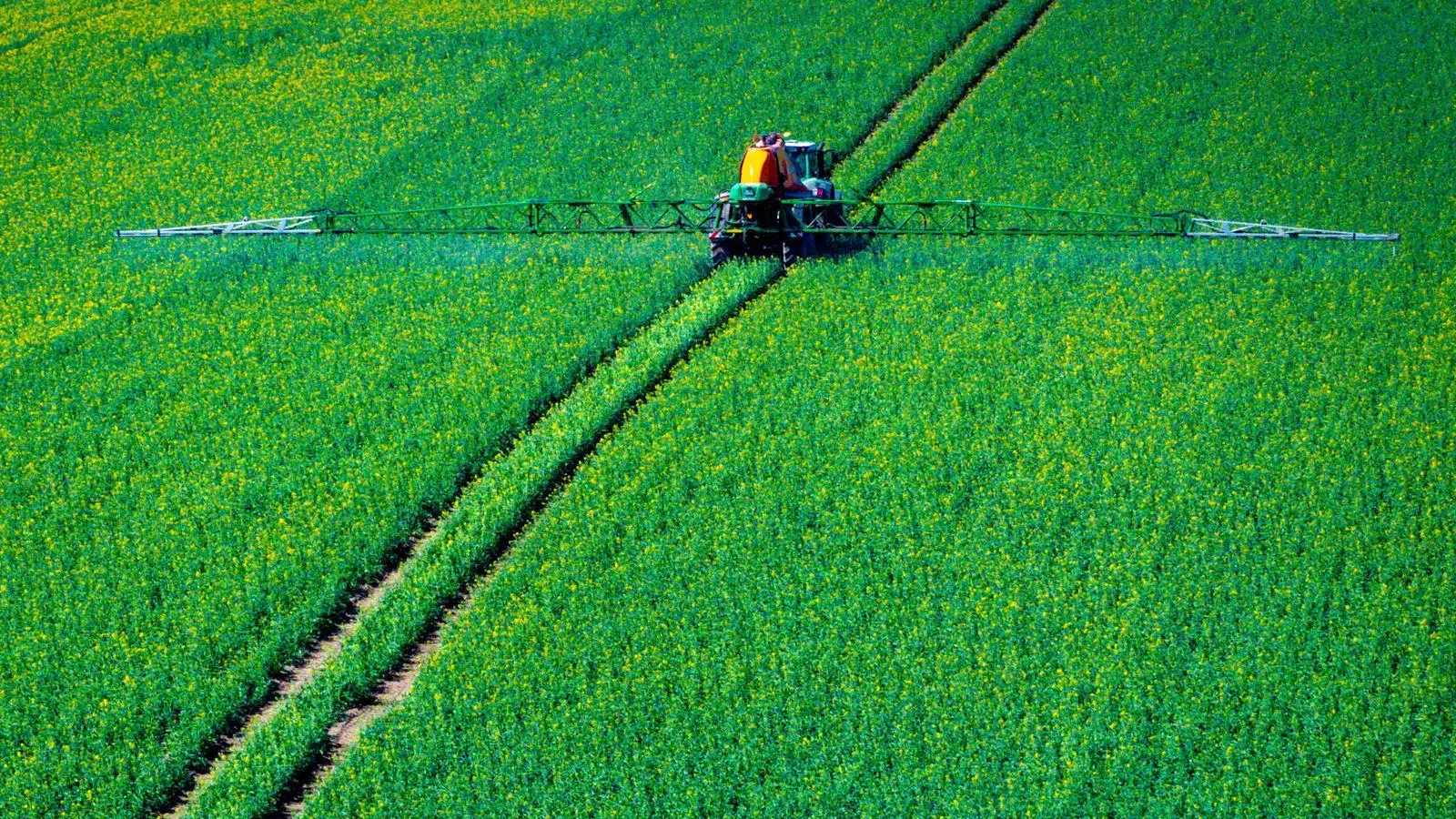 Pflanzenschutzmittel sollen die Ernte sichern. (Symbolbild) (Foto: Jens Büttner/dpa)