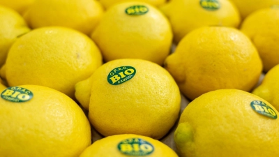 In Nürnberg eröffnet die weltweit größte Messe der Biobranche. Produkte aus nachhaltigem Anbau boomen (Archivbild).  (Foto: Daniel Karmann/dpa)