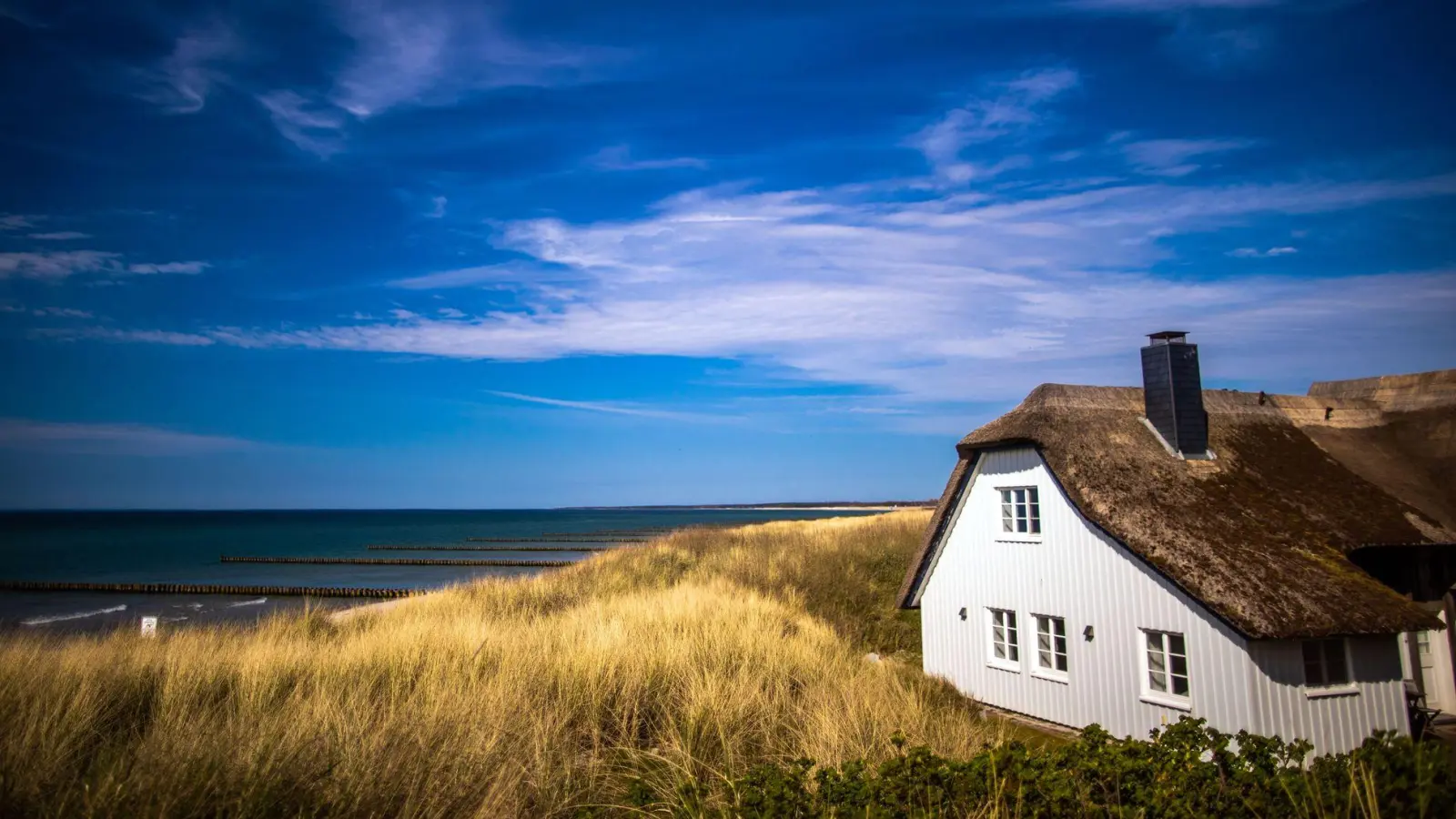 Ferienhaus in den Dünen: Viele Vermieter halten ihre Preise stabil, weil sie wissen, wie preissensibel Urlauber geworden sind. (Foto: Jens Büttner/dpa/dpa-tmn)