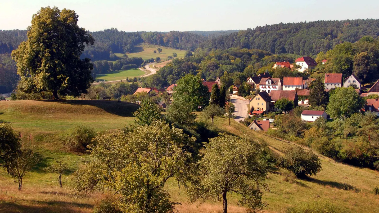 Der Blick über Rügland: Soll zwischen viel Natur in Zukunft auch ein 18 Meter hoher Turm das Ortsbild prägen? (Archivbild: Jim Albright)