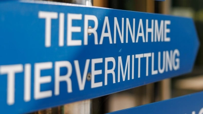 Im Tierheim Nürnberg wird ein Teil der gefundenen Tiere versorgt. (Archivfoto)  (Foto: Daniel Karmann/dpa)
