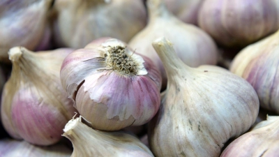 Spanien, China, Ägypten: In den wenigsten Fällen kommt Knoblauch aus Deutschland. (Foto: Andrea Warnecke/dpa-tmn)