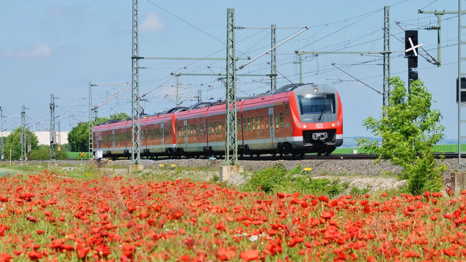 Ein Oberleitungsschaden beeinträchtigt derzeit den Regionalexpress RE10 zwischen Würzburg und Nürnberg (hier im Foto bei Markt Einersheim). (Symbolbild: Johannes Hirschlach)