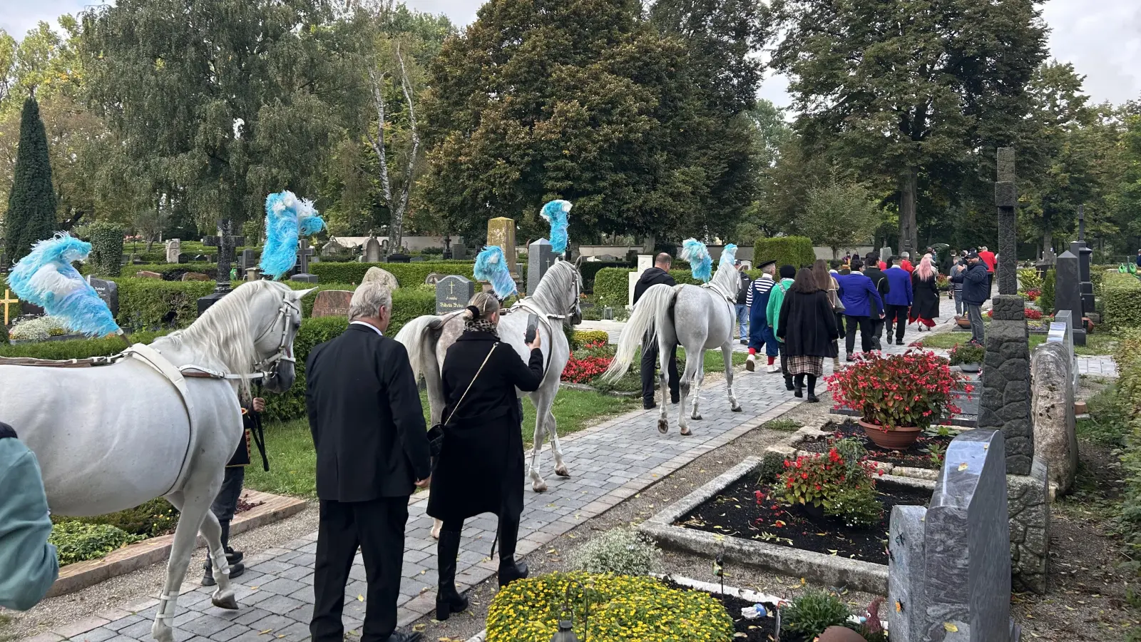 Die letzten Meter des Trauerzuges: Auch die von der Direktorin so geliebten Pferde durften mit.  (Foto: Florian Pöhlmann)