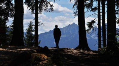 In den Allgäuer Alpen will die Polizei in den kommenden Wochen verstärkt Naturschutzkontrollen durchführen. (Symbolbild) (Foto: Karl-Josef Hildenbrand/dpa)