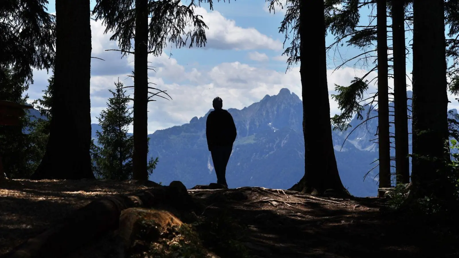 In den Allgäuer Alpen will die Polizei in den kommenden Wochen verstärkt Naturschutzkontrollen durchführen. (Symbolbild) (Foto: Karl-Josef Hildenbrand/dpa)