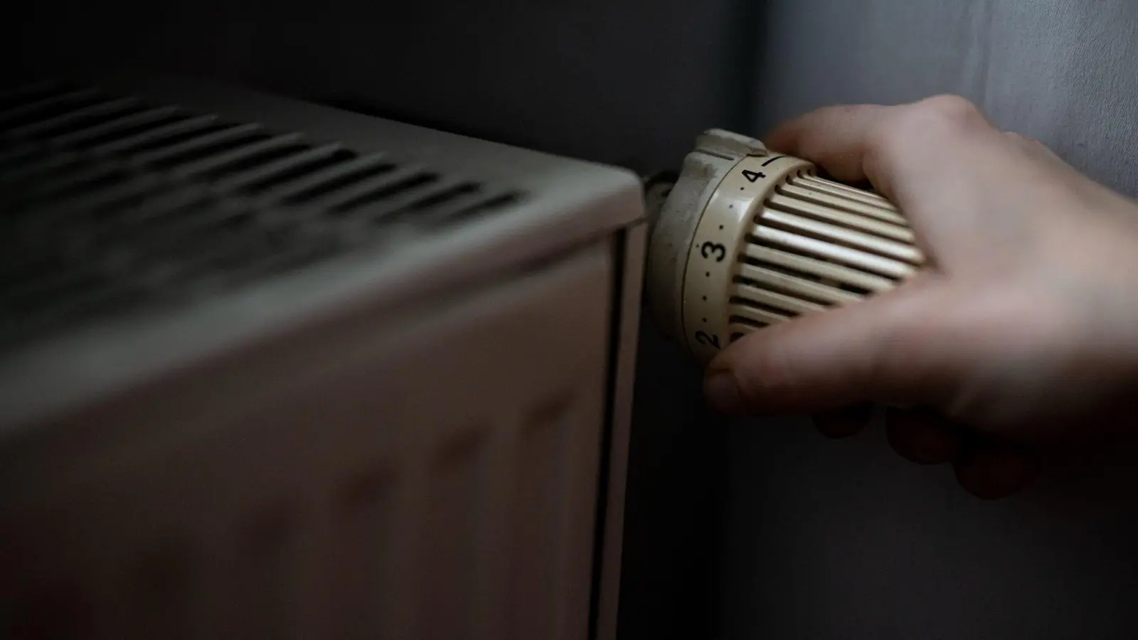 Besser mal runterdrehen - Heizen kann teuer sein. (Symbolbild) (Foto: Fabian Sommer/dpa)