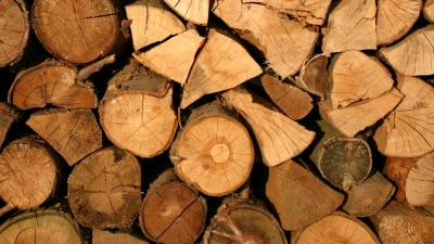 Ein vielseitiger Baustoff: Holz (Foto: Pixabay)