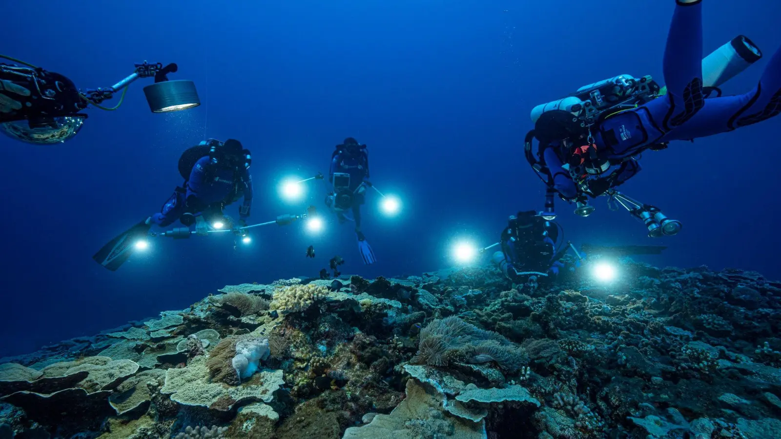 Meeresforscher haben vor der Küste Tahitis in den Tiefen des Südpazifiks ein mehr als drei Kilometer langes Korallenriff entdeckt. (Foto: Alexis Rosenfeld/@alexis.rosenfeld via AP/dpa)