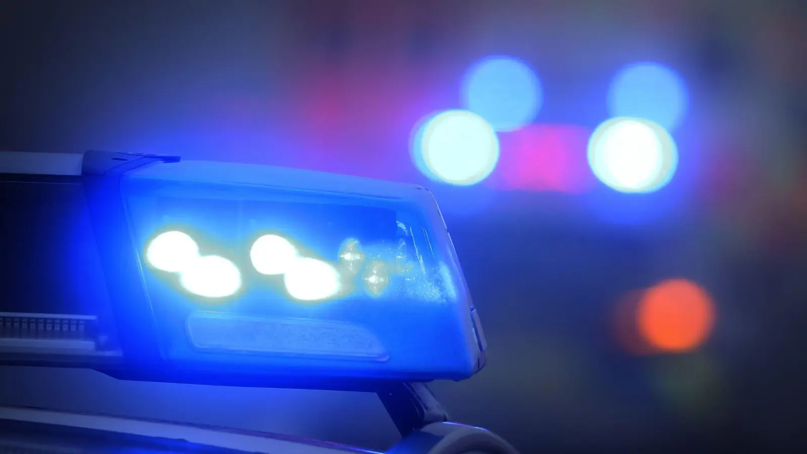 Polizisten fanden die vier Leichen am Freitagabend. (Symbolbild) (Foto: Karl-Josef Hildenbrand/dpa)