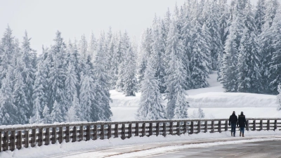 Die Panoramastraße ist ein bekanntes Fotomotiv – und auch zum Driften bei Schnee beliebt. (Symbolbild) (Foto: Lino Mirgeler/dpa)