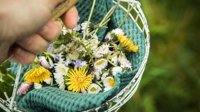 Leckere Vielfalt: Zahlreiche Blüten von Kräutern, Zier- und Wildpflanzen eignen sich hervorragend als dekorative und aromatische Ergänzung für Speisen. (Foto: Christin Klose/dpa-tmn)
