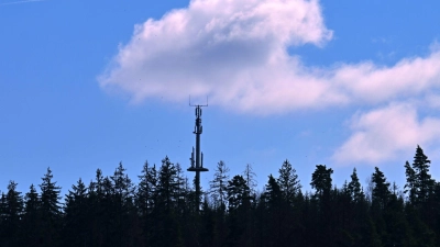 Hier gibt es Handynetz - anderswo fehlen hingegen noch Mobilfunkmasten im Wald, an Wiesen oder an Bauernhöfen. (Symbolbild) (Foto: Martin Schutt/dpa)