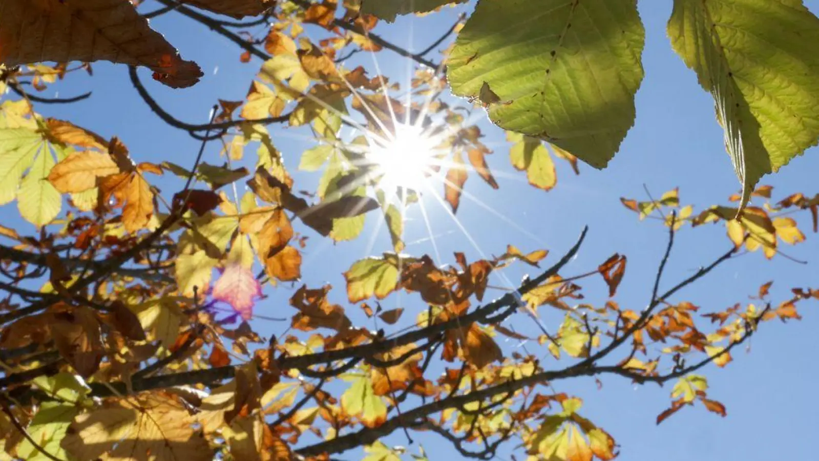 Die kommenden Tage bleibt es sonnig und warm in Bayern, einzig nachts wird es frisch. (Symbolbild) (Foto: Thomas Warnack/dpa)
