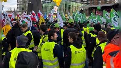 Die Landkreisvertreter reihten sich ein in die große Demonstration mit rund 10.000 Teilnehmerinnen und Teilnehmern. (Foto: Bayerischer Bauernverband/Andrea Seiß)