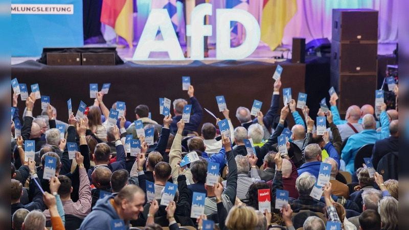 Die bayerische AfD trifft sich zum Parteitag - diesmal in Passau. (Archivbild) (Foto: Daniel Löb/dpa)