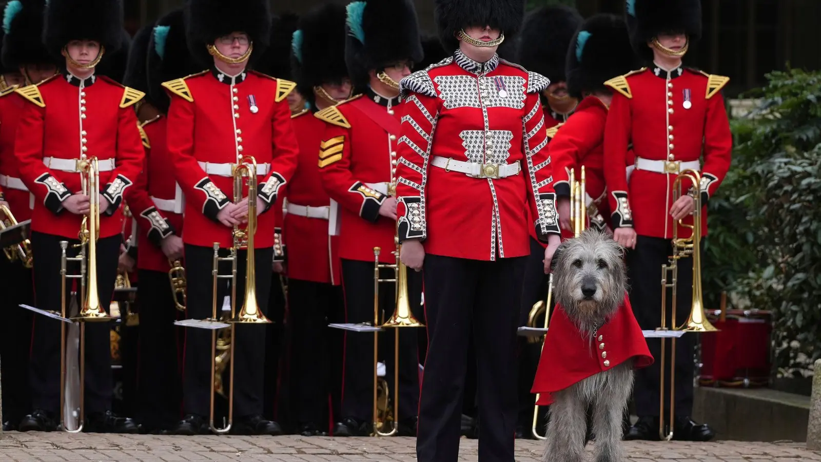 Parade mit Hund (Foto: Kirsty Wigglesworth/AP/dpa)