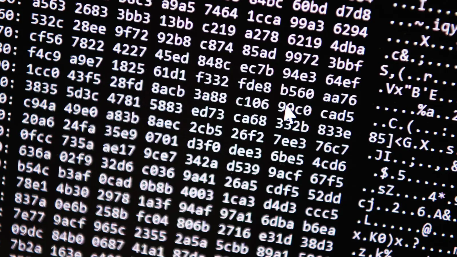 Neue Tools ermöglichten einen Schlag gegen ein Betrugs-Netzwerk im Darknet. (Symbolbild) (Foto: Nicolas Armer/dpa)