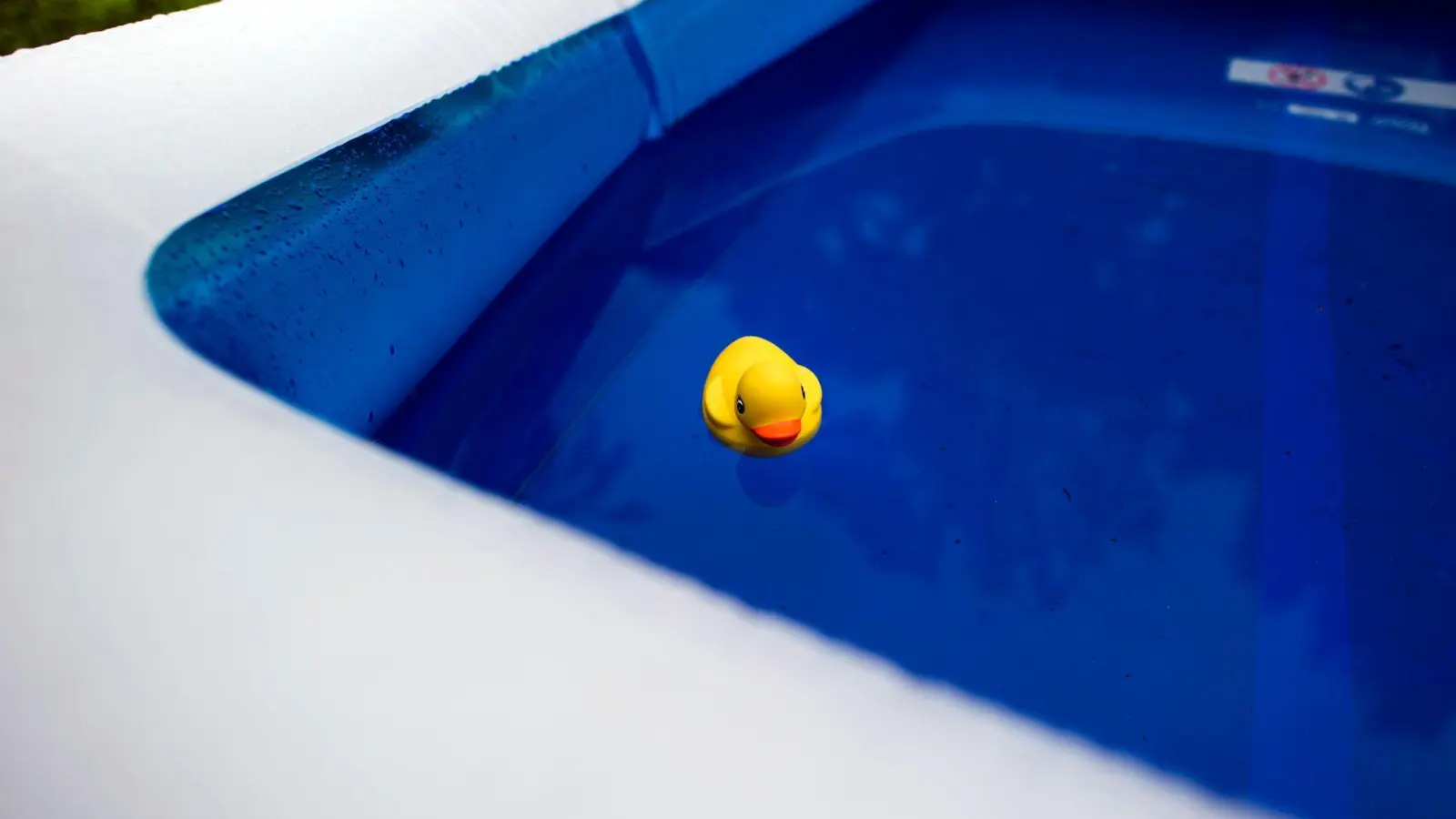 Eigener Garten, eigene Regeln? Hausbesitzer dürfen Planschbecken oder Pools meist ohne Genehmigung aufstellen. (Foto: Arno Burgi/dpa-Zentralbild/dpa-tmn)