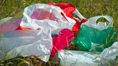 Plastiktüten wie diese sind inzwischen nicht mehr an Deutschlands Supermarkt-Kassen zu bekommen. (Archivbild) (Foto: picture alliance / ZB)