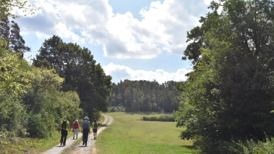 Das erste Stück der rund acht Kilometer langen Strecke führt auf einem geschotterten Weg sanft bergauf. (Foto: Ute Niephaus )