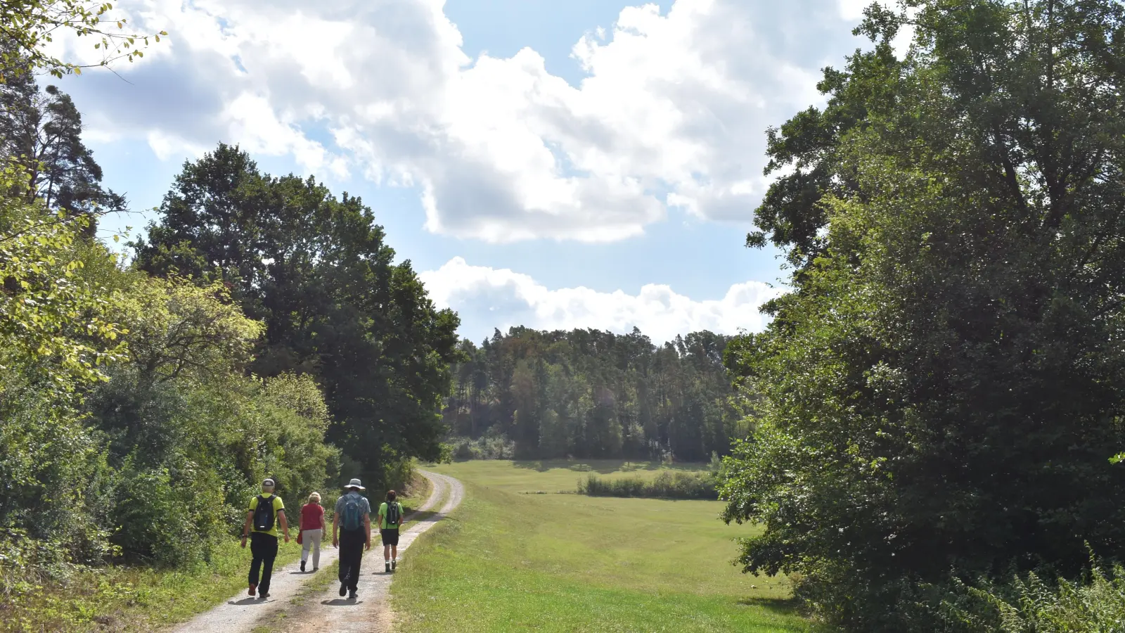 Das erste Stück der rund acht Kilometer langen Strecke führt auf einem geschotterten Weg sanft bergauf. (Foto: Ute Niephaus )