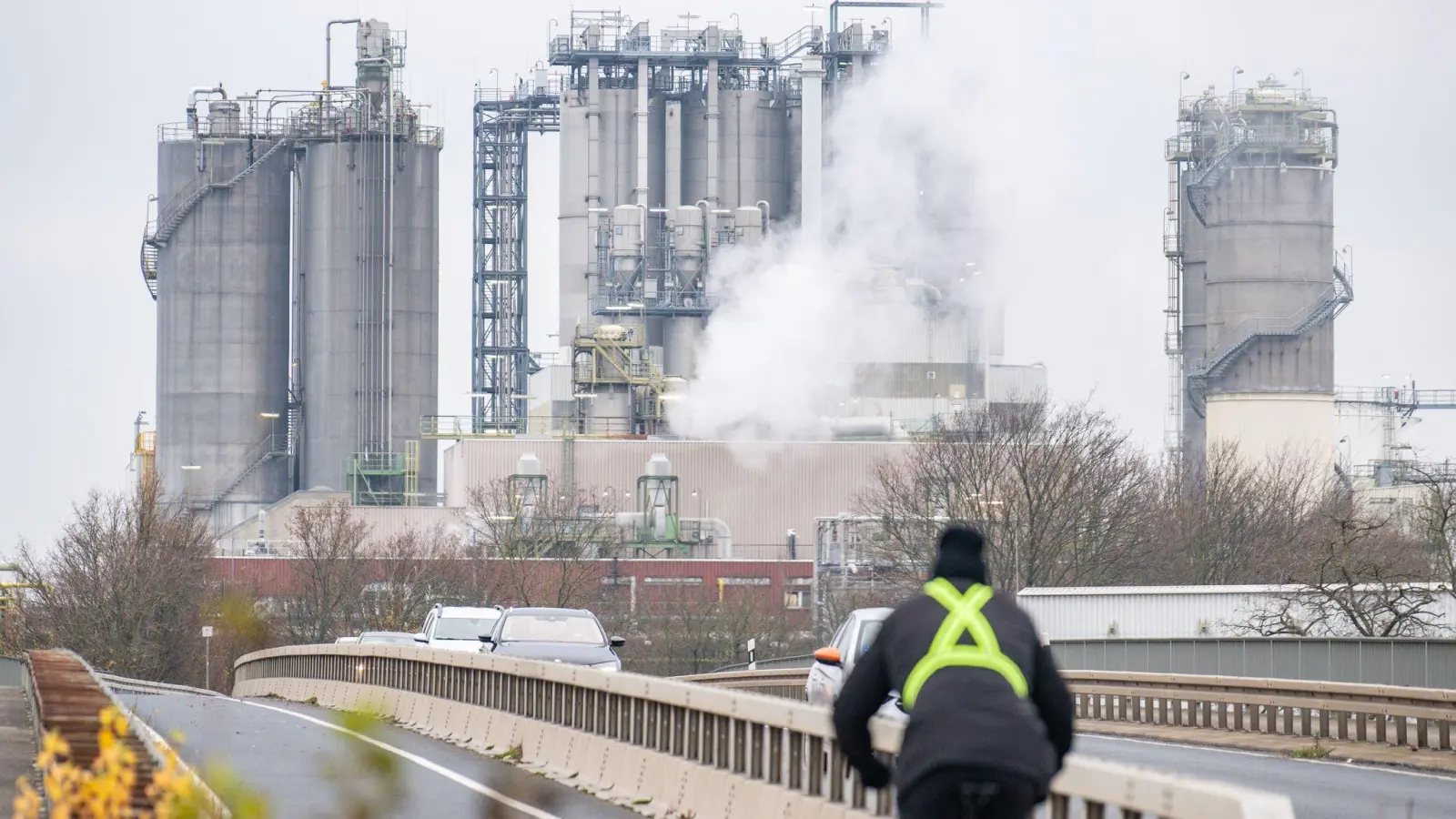 Die Chemiebranche ist besonders energieintensiv (Archivbild) (Foto: Benjamin Westhoff/dpa)