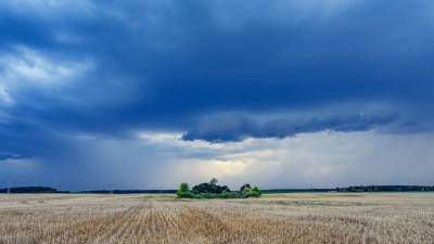 Kreislauf, Schwindel, Unwohlsein: Rasch fallende oder steigende Temperaturen und Änderungen im Luftdruck oder der Luftfeuchtigkeit können Auswirkungen auf unser Wohlbefinden haben. (Foto: Patrick Pleul/dpa/dpa-tmn)