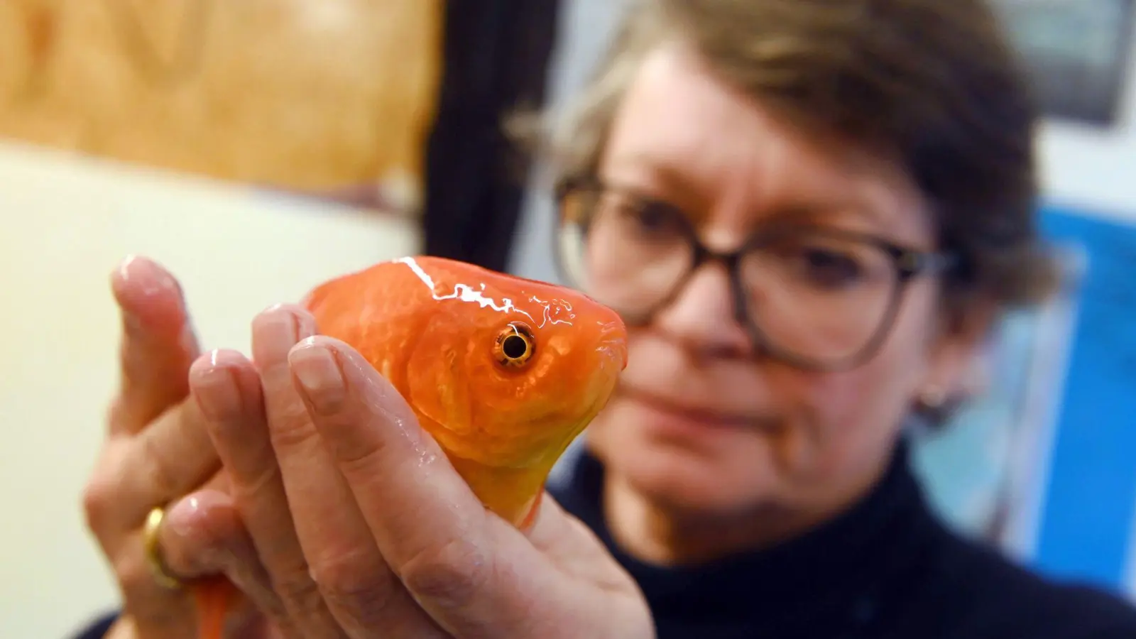 Die Fischtierärztin Sandra Lechleiter in ihrer Praxis mit einem betäubten Goldfisch während einer klinischen Untersuchung. (Foto: Uli Deck/dpa)