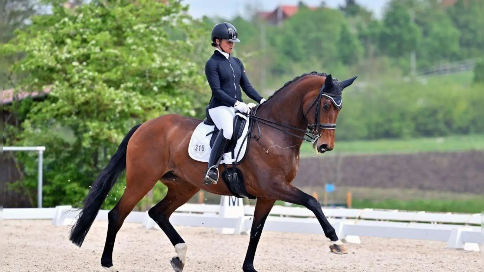 Nicole Grosch vom RFV Casteller Land gewann zwei Prüfungen bei den Dressurtagen. (Foto: OneKlickFoto)