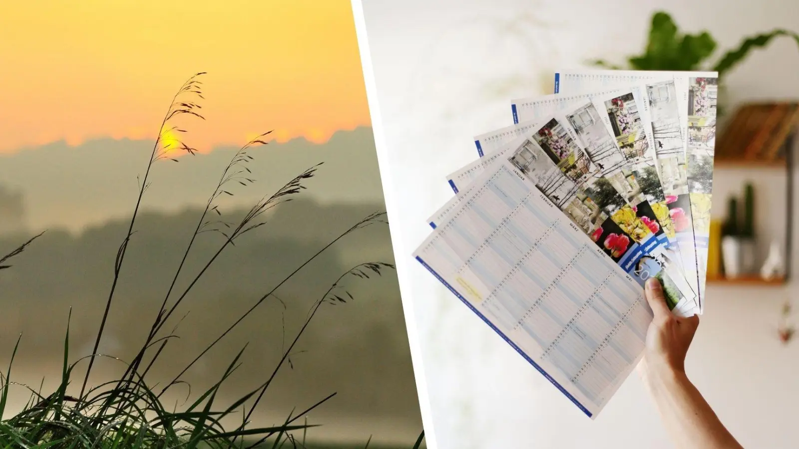 Stimmen Sie mit ab: Welche Fotos aus Westmittelfranken sollen den FLZ-Blattkalender 2025 zieren? (Foto: Jim Albright/Johannes Hirschlach)