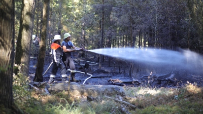 Zahlreiche Feuerwehrkräfte rückten am Freitag zu einem Waldbrand bei Windelsbach aus. (Foto: NEWS5 / Markus Zahn)