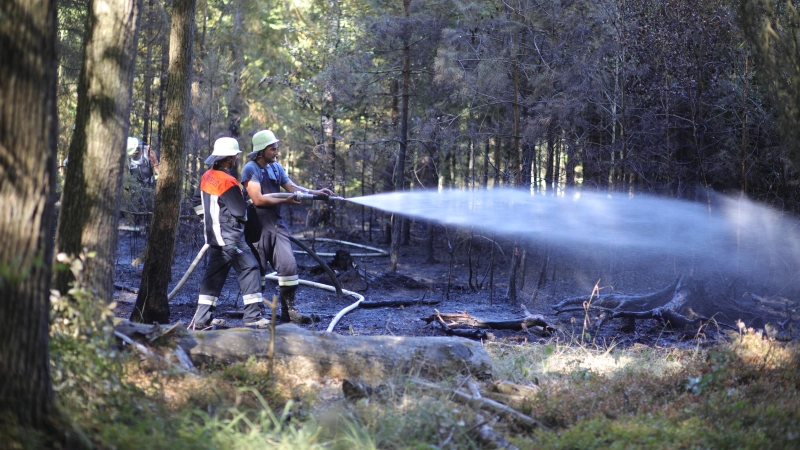 Zahlreiche Feuerwehrkräfte rückten am Freitag zu einem Waldbrand bei Windelsbach aus. (Foto: NEWS5 / Markus Zahn)