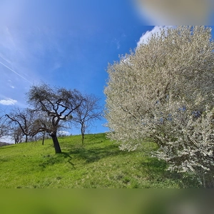 An der Landkreisgrenze - gesehen bei Stierhöfstetten (Foto: Lukas Braun)