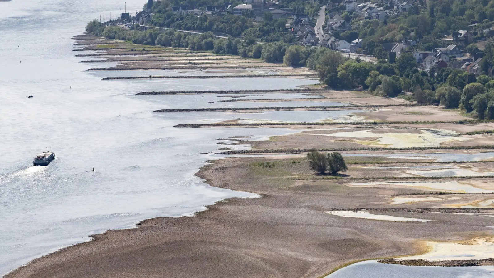 Folge des ungewöhnlich heißen Sommers: Der Rhein führt extrem wenig Wasser. (Foto: Boris Roessler/dpa)