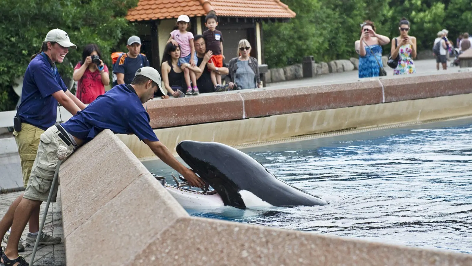 Der inzwischen geschlossene Freizeitpark in Kanada warnt, er müsse womöglich seine Tiere einschläfern. (Archivbild) (Foto: Randy Risling/Toronto Star/Zuma Press/dpa)