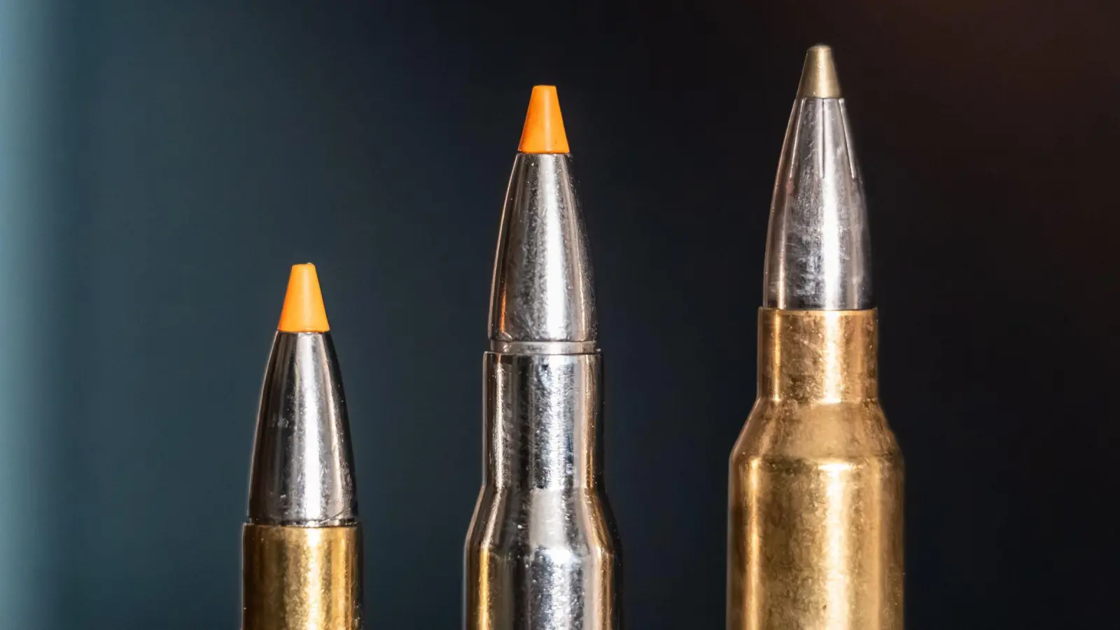 Jagdpatronen im Kaliber 308 Winchester (l-r), 30-06 Springfield und 300 Winchester Magnum stehen bei einem Jäger auf einem Waffenschrank. (Symbolbild) (Foto: Silas Stein/dpa)