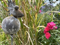 Herbstlicher Farbtupfer- gesehen in Neustadt (Foto: Herbert Jakob)