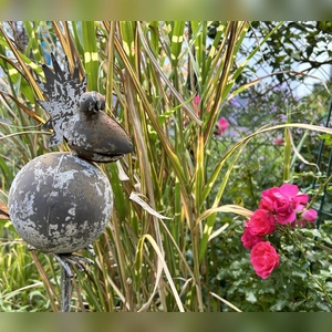 Herbstlicher Farbtupfer- gesehen in Neustadt (Foto: Herbert Jakob)