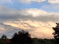 Eigenwillige Wolkenformation - gesehen in Neustadt (Foto: Günter Hofmann)