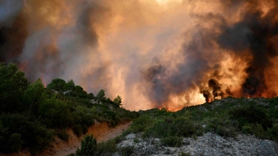 Die Feuerwehr hofft darauf, den Brand im Tagesverlauf in den Griff zu bekommen. (Foto: Lionel Bonaventure/AFP/dpa)