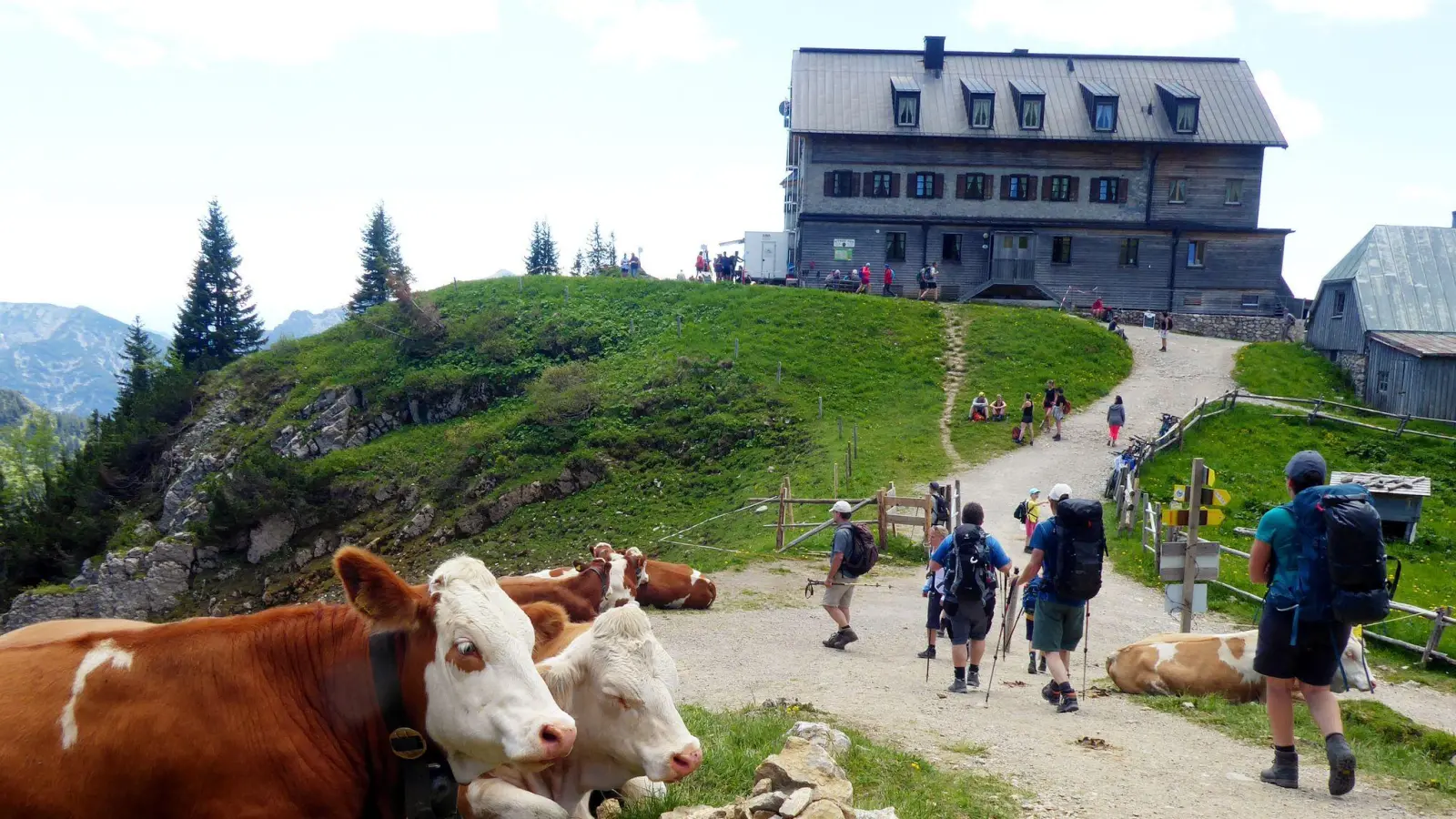 Das Rotwandhaus ist ein beliebtes Wanderziel. (Foto: Angelika Warmuth/dpa)